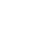 Ein Website-Logo mit einem weißen Blitz auf grünem Hintergrund für Sanierprofis.